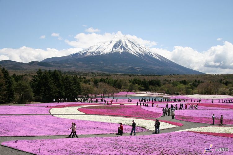 Curiosidades sobre o Monte Fuji 130201_motosuko
