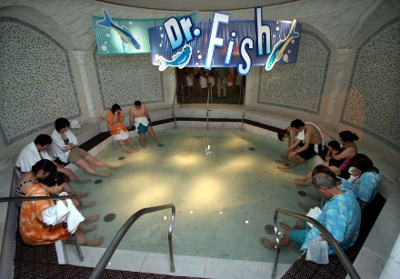 Hóspedes do resort de Hakone aproveitam o tratamento no spa com peixes