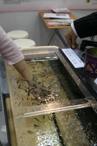 O spa Dr.fish, no Japão, oferece a inusitada limpeza de pele