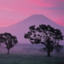 As vistas do Monte Fuji