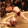 Hakuhou vence o Grande Torneio de Sumô