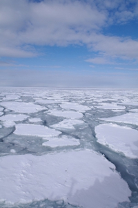 A formação da superfície de gelo começou a diminuir por causa do aquecimento global