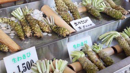 Este é o wasabi fresco, que só é encontrado no Japão