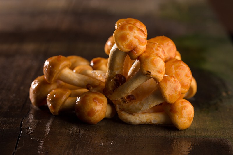 nameko_img