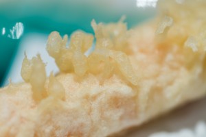 Detalhe da camada finíssima de massa crocante tempuraten