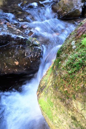 Água cristalina que brota na montanha arrozal_agua