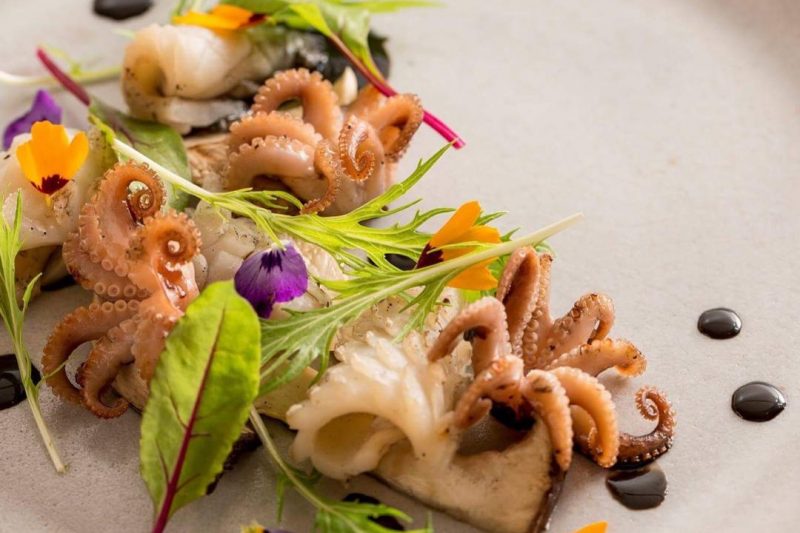 jantar especial com telme shiraishi