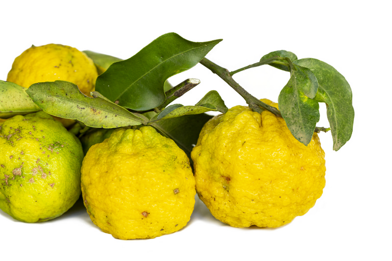 yuzu