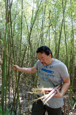 eatrip-bambus-gl