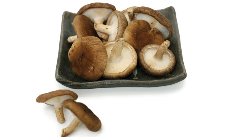 Sliced Shiitake (Shitake Desidratado Fatiado) 50g - Tradbras comprar aqui -  Projeto Verao