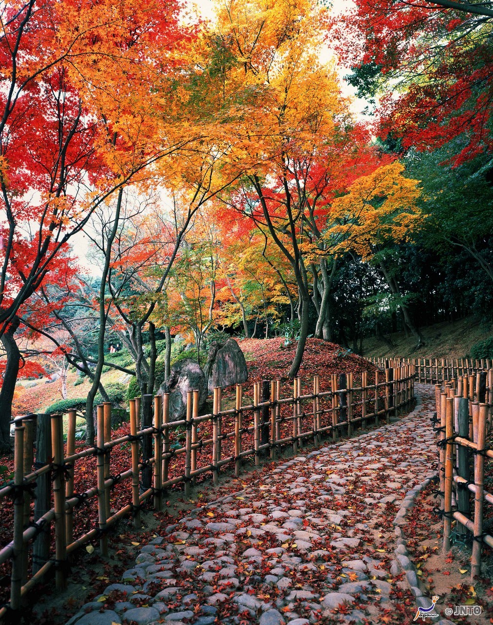 Outono, Japão, 2024